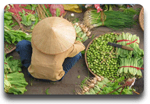 Ruta del Vino en Mendoza