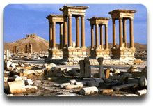 Palmyra